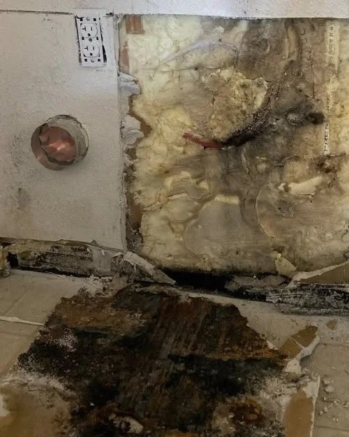 Extensive black mold and water damage across an opened wall cavity and floor