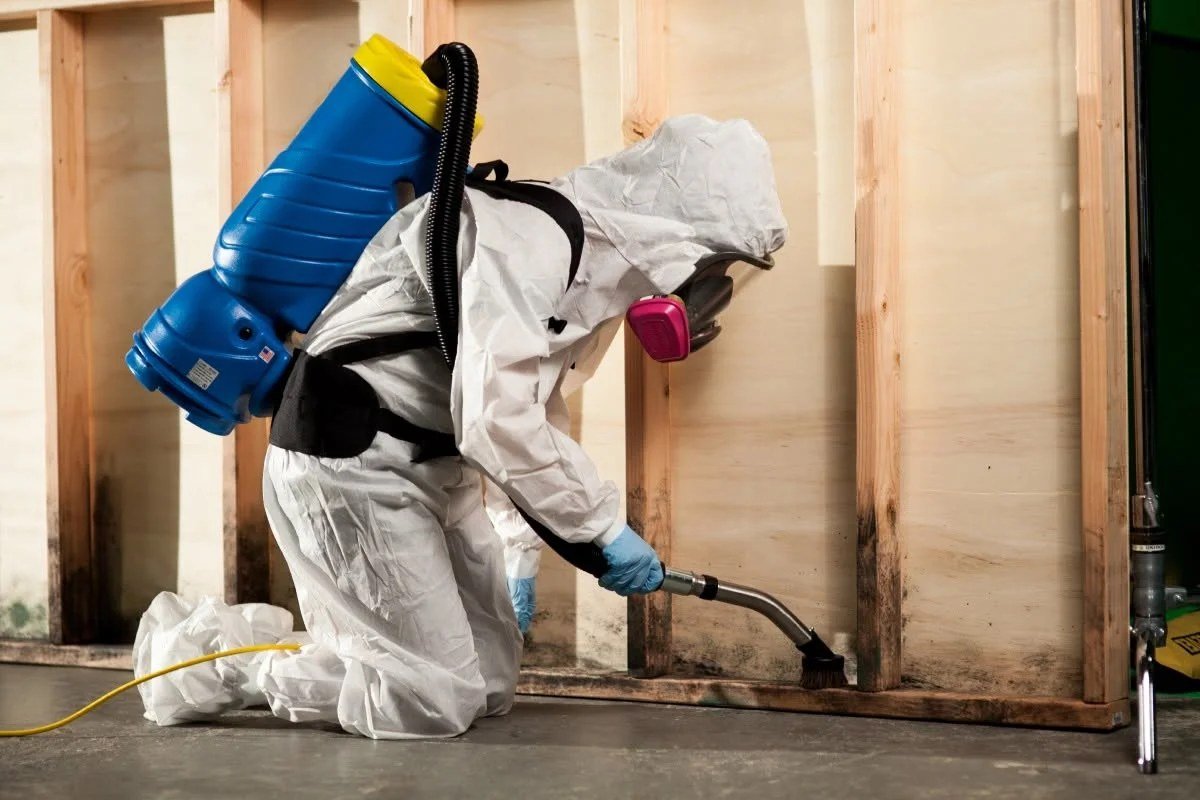 Technician in full protective equipment and respirator applying antimicrobial to an opened wall cavity